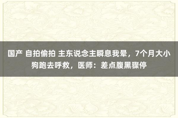 国产 自拍偷拍 主东说念主瞬息我晕，7个月大小狗跑去呼救，医师：差点腹黑骤停