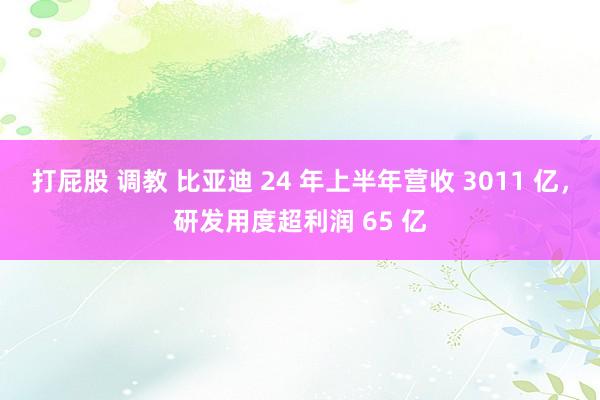 打屁股 调教 比亚迪 24 年上半年营收 3011 亿，研发用度超利润 65 亿