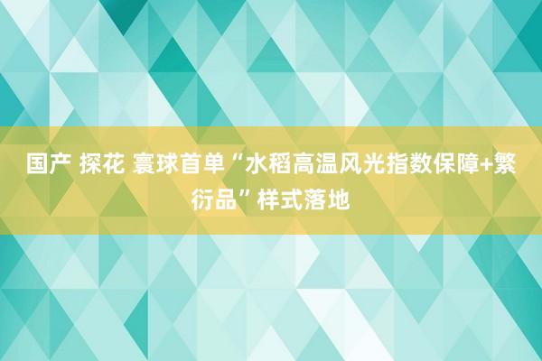 国产 探花 寰球首单“水稻高温风光指数保障+繁衍品”样式落地