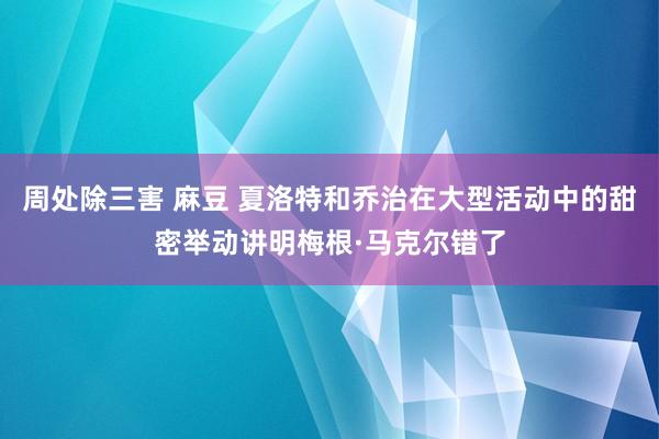 周处除三害 麻豆 夏洛特和乔治在大型活动中的甜密举动讲明梅根·马克尔错了