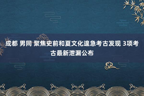 成都 男同 聚焦史前和夏文化遑急考古发现 3项考古最新泄漏公布