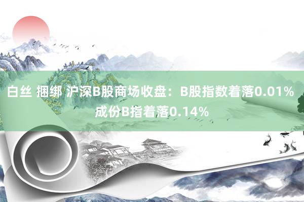 白丝 捆绑 沪深B股商场收盘：B股指数着落0.01% 成份B指着落0.14%