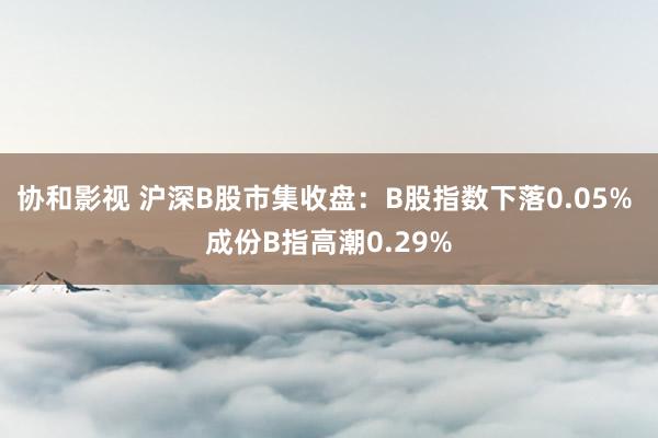 协和影视 沪深B股市集收盘：B股指数下落0.05% 成份B指高潮0.29%