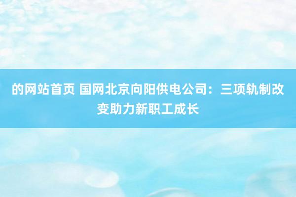 的网站首页 国网北京向阳供电公司：三项轨制改变助力新职工成长