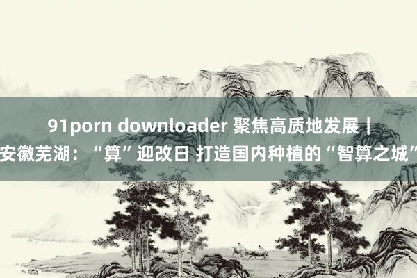 91porn downloader 聚焦高质地发展｜安徽芜湖：“算”迎改日 打造国内种植的“智算之城”