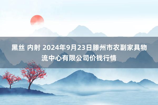 黑丝 内射 2024年9月23日滕州市农副家具物流中心有限公司价钱行情