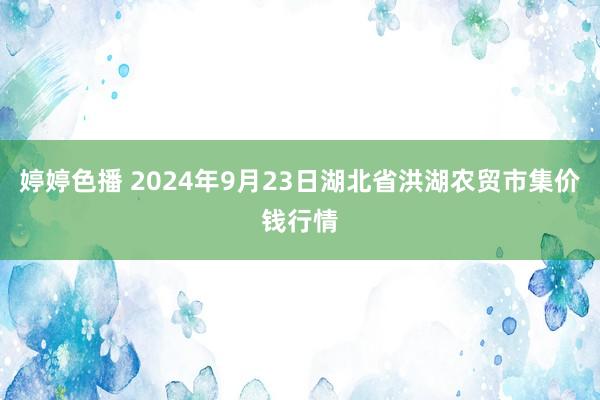 婷婷色播 2024年9月23日湖北省洪湖农贸市集价钱行情