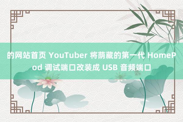 的网站首页 YouTuber 将荫藏的第一代 HomePod 调试端口改装成 USB 音频端口