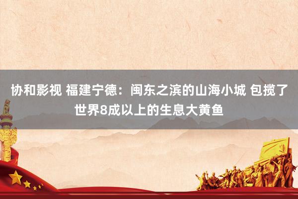 协和影视 福建宁德：闽东之滨的山海小城 包揽了世界8成以上的生息大黄鱼