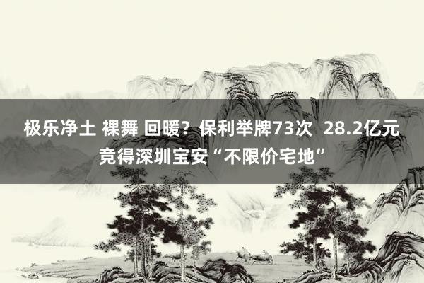 极乐净土 裸舞 回暖？保利举牌73次  28.2亿元竞得深圳宝安“不限价宅地”