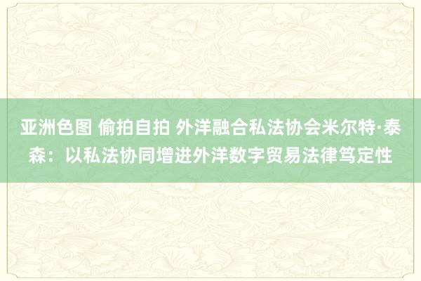 亚洲色图 偷拍自拍 外洋融合私法协会米尔特·泰森：以私法协同增进外洋数字贸易法律笃定性