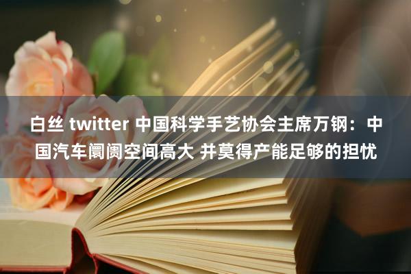 白丝 twitter 中国科学手艺协会主席万钢：中国汽车阛阓空间高大 并莫得产能足够的担忧