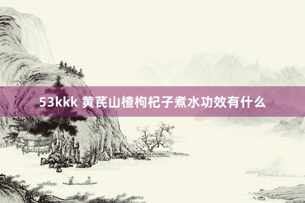 53kkk 黄芪山楂枸杞子煮水功效有什么