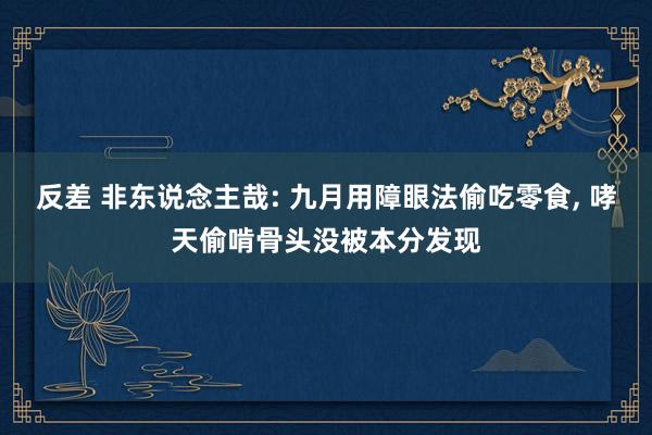 反差 非东说念主哉: 九月用障眼法偷吃零食， 哮天偷啃骨头没被本分发现