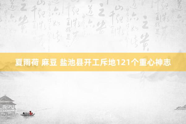 夏雨荷 麻豆 盐池县开工斥地121个重心神志