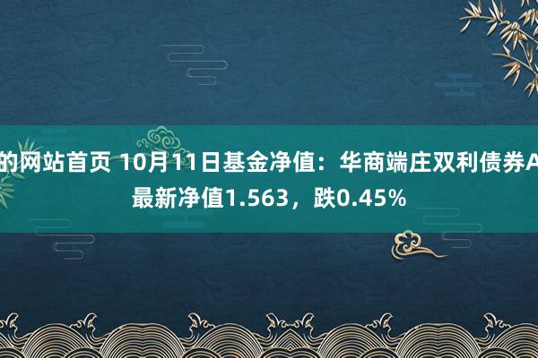 的网站首页 10月11日基金净值：华商端庄双利债券A最新净值1.563，跌0.45%