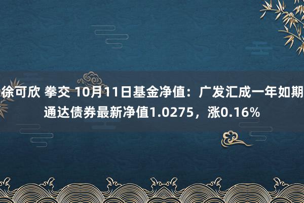 徐可欣 拳交 10月11日基金净值：广发汇成一年如期通达债券最新净值1.0275，涨0.16%