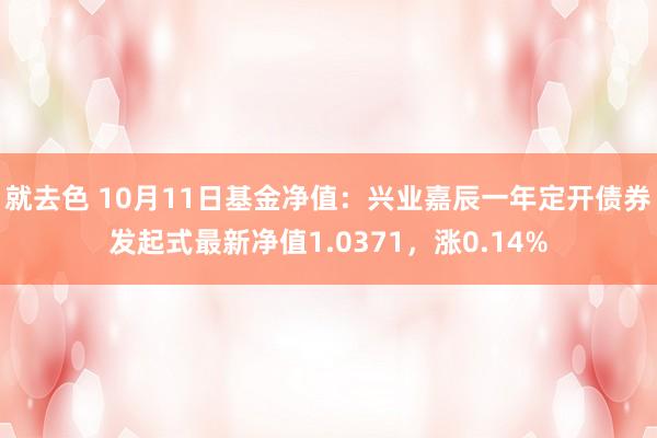 就去色 10月11日基金净值：兴业嘉辰一年定开债券发起式最新净值1.0371，涨0.14%