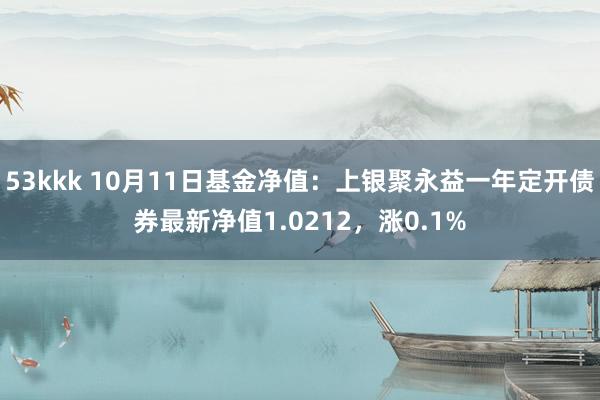 53kkk 10月11日基金净值：上银聚永益一年定开债券最新净值1.0212，涨0.1%