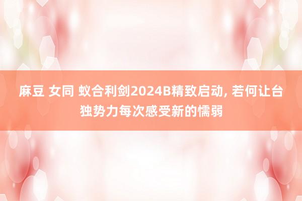 麻豆 女同 蚁合利剑2024B精致启动， 若何让台独势力每次感受新的懦弱