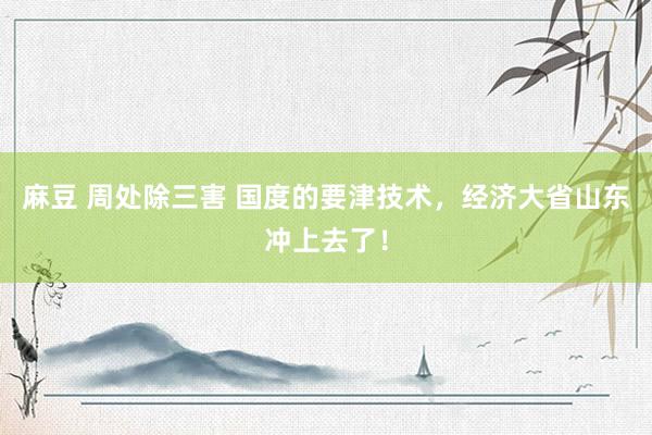 麻豆 周处除三害 国度的要津技术，经济大省山东冲上去了！