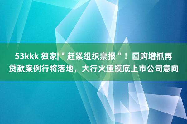 53kkk 独家|＂赶紧组织禀报＂！回购增抓再贷款案例行将落地，大行火速摸底上市公司意向