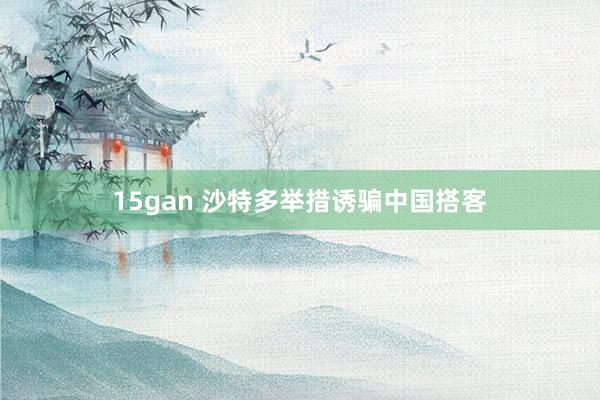 15gan 沙特多举措诱骗中国搭客