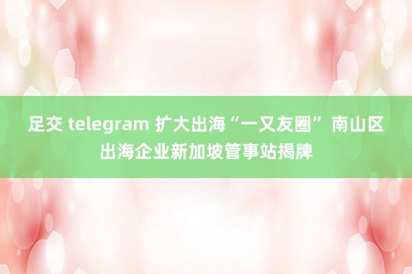 足交 telegram 扩大出海“一又友圈” 南山区出海企业新加坡管事站揭牌