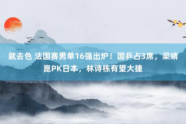 就去色 法国赛男单16强出炉！国乒占3席，梁靖崑PK日本，林诗栋有望大捷