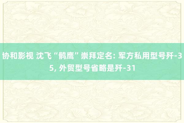 协和影视 沈飞“鹘鹰”崇拜定名: 军方私用型号歼-35， 外贸型号省略是歼-31