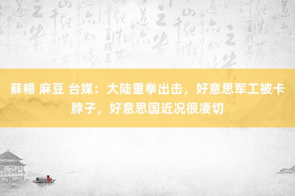 蘇暢 麻豆 台媒：大陆重拳出击，好意思军工被卡脖子，好意思国近况很凄切