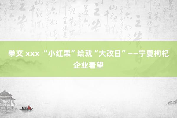 拳交 xxx “小红果”绘就“大改日”——宁夏枸杞企业看望