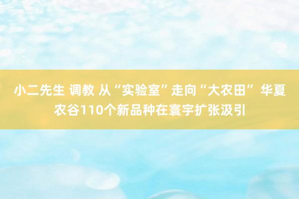 小二先生 调教 从“实验室”走向“大农田” 华夏农谷110个新品种在寰宇扩张汲引