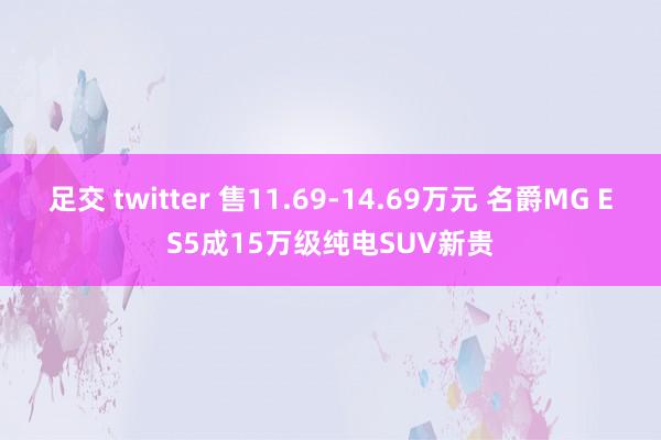 足交 twitter 售11.69-14.69万元 名爵MG ES5成15万级纯电SUV新贵