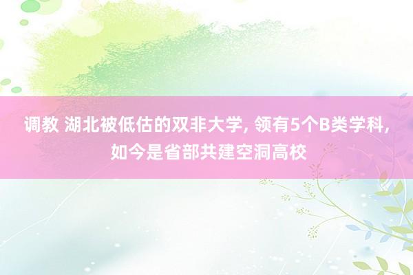 调教 湖北被低估的双非大学， 领有5个B类学科， 如今是省部共建空洞高校