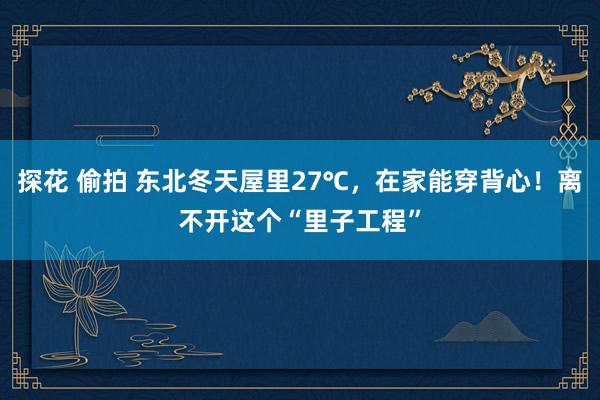 探花 偷拍 东北冬天屋里27℃，在家能穿背心！离不开这个“里子工程”