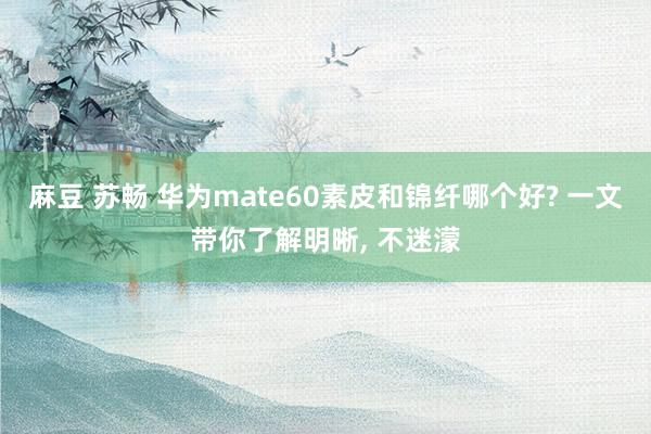 麻豆 苏畅 华为mate60素皮和锦纤哪个好? 一文带你了解明晰， 不迷濛