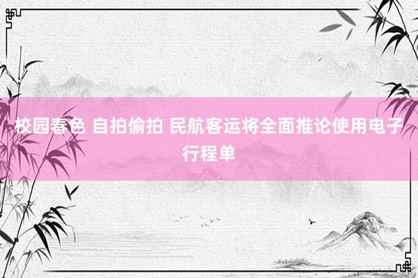 校园春色 自拍偷拍 民航客运将全面推论使用电子行程单