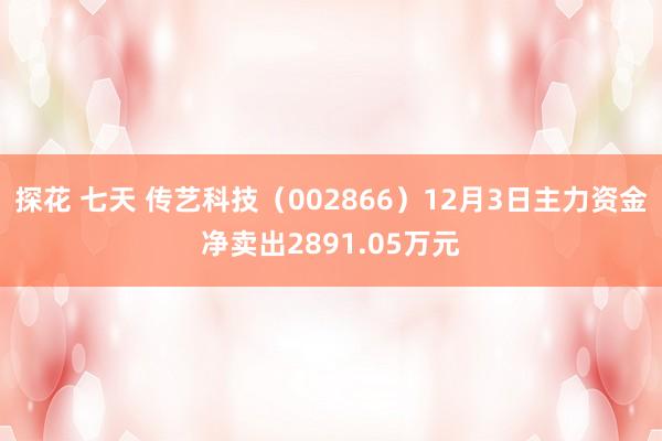 探花 七天 传艺科技（002866）12月3日主力资金净卖出2891.05万元