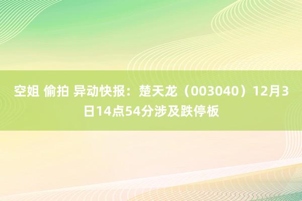 空姐 偷拍 异动快报：楚天龙（003040）12月3日14点54分涉及跌停板