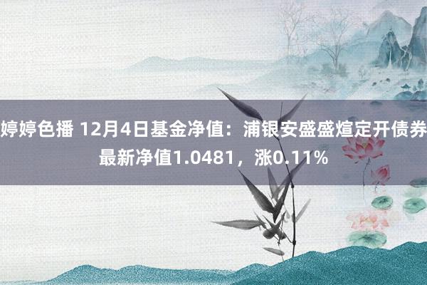 婷婷色播 12月4日基金净值：浦银安盛盛煊定开债券最新净值1.0481，涨0.11%