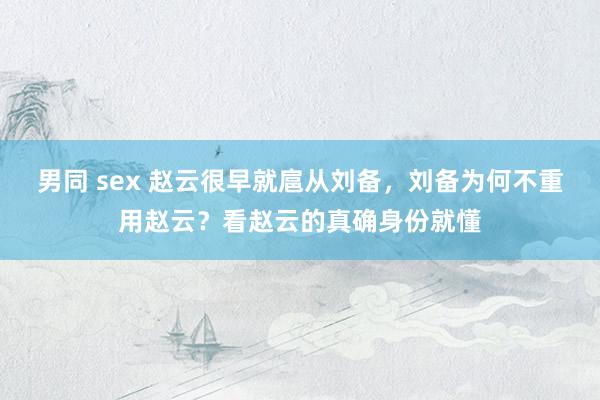 男同 sex 赵云很早就扈从刘备，刘备为何不重用赵云？看赵云的真确身份就懂