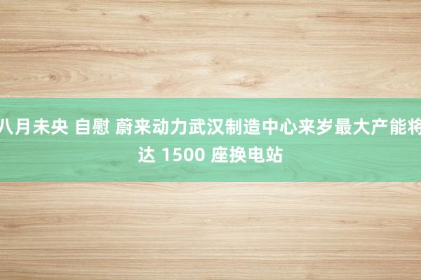 八月未央 自慰 蔚来动力武汉制造中心来岁最大产能将达 1500 座换电站