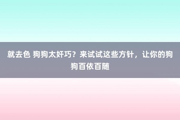 就去色 狗狗太奸巧？来试试这些方针，让你的狗狗百依百随