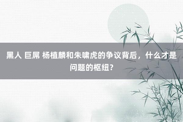 黑人 巨屌 杨植麟和朱啸虎的争议背后，什么才是问题的枢纽？