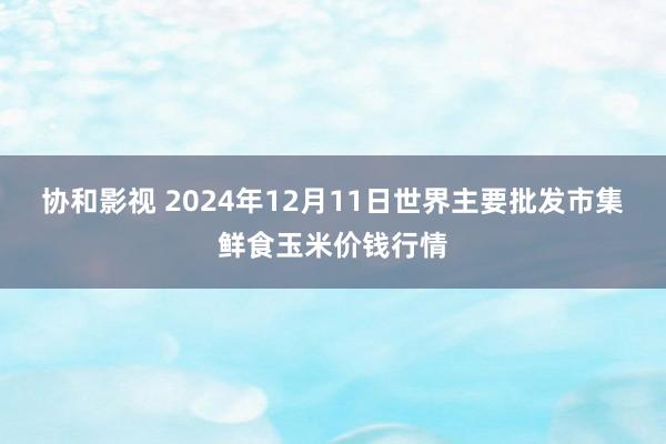 协和影视 2024年12月11日世界主要批发市集鲜食玉米价钱行情