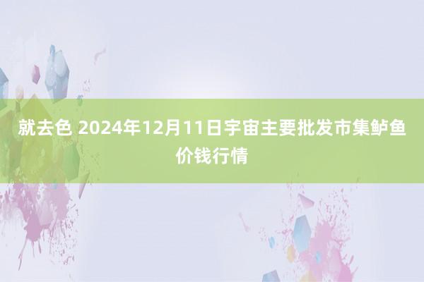 就去色 2024年12月11日宇宙主要批发市集鲈鱼价钱行情