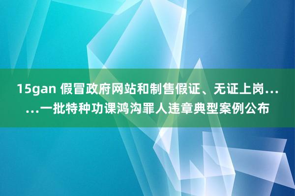 15gan 假冒政府网站和制售假证、无证上岗……一批特种功课鸿沟罪人违章典型案例公布