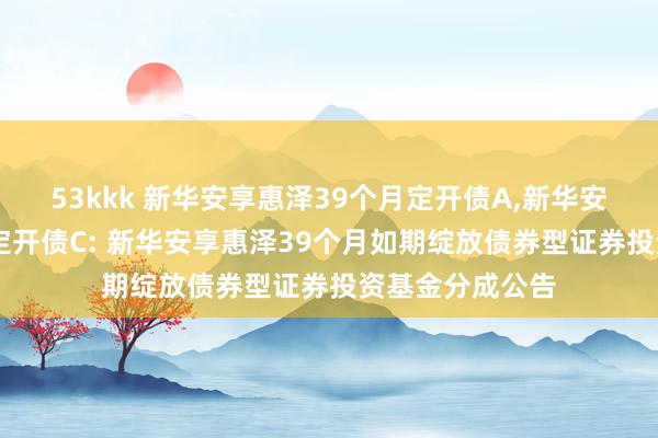 53kkk 新华安享惠泽39个月定开债A，新华安享惠泽39个月定开债C: 新华安享惠泽39个月如期绽放债券型证券投资基金分成公告