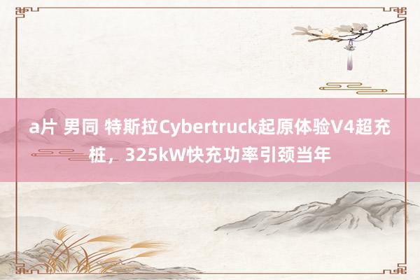 a片 男同 特斯拉Cybertruck起原体验V4超充桩，325kW快充功率引颈当年